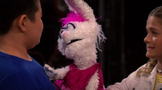 Épisode 11