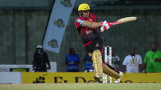 Le cricket