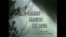 Épisode 7