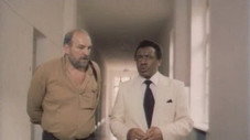 Épisode 8