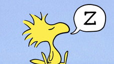 Épisode 23