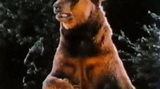 La légende de l'ours de bronze