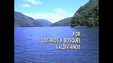 Épisode 9