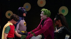 The Funny Feline Felonies