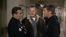 Log 165 -- Once a Cop