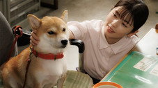 Épisode 7