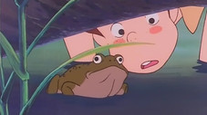 Le concours de grenouilles