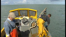 La pêche : les poissons ont le mal de mer