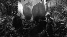 L'attaque des plantes géantes