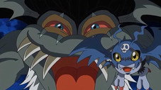 Épisode 11