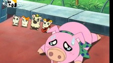 Le nouveau Ham-Ham Park