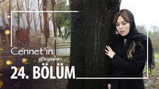 Épisode 24
