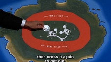 The Field