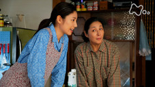 Épisode 146