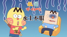 Épisode 785
