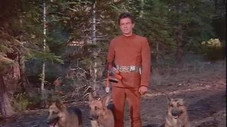 Un étrange chasseur