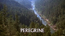 Le Faucon pèlerin