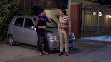 Épisode 321