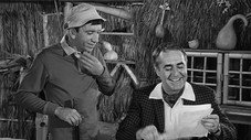 Diogènes, vous n'irez pas s'il vous plaît à la maison?