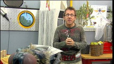 Les mouches : les sorciers prennent la mouche