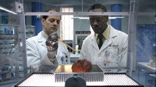 Épisode 2
