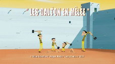 Les Dalton en mêlée