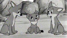 Épisode 34
