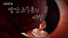 Épisode 24