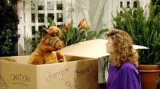 We're So Sorry, Uncle Albert