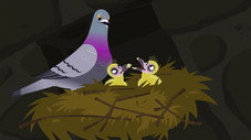 Épisode 19