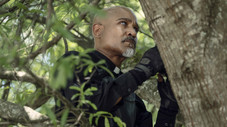 Promises Broken