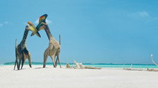 Les îles