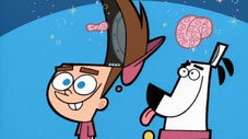 Épisode 10
