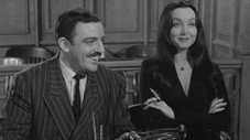 Levez la main et dites « Je le jure ! »