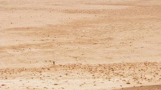 Desert