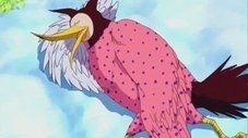 Chopper em perigo! Antigo Deus x Sarcedote Shura!