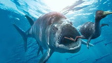 L'aquarium de l’enfer