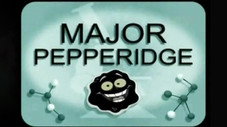 Épisode 33