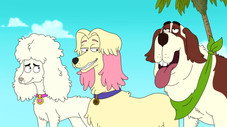 Épisode 5