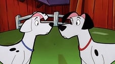 Épisode 8