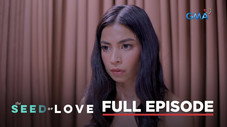 Épisode 17