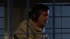 Épisode 155