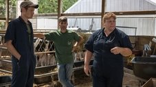 De Vacas Malucas a Répteis Exóticos