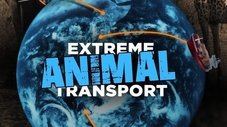 Episode Thumbnail