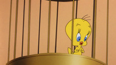 Épisode 20