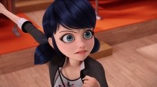 Ladybug