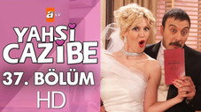 Épisode 37