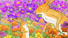 Hare's Eye View