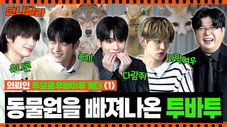 Épisode 5