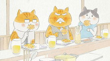 Épisode 8